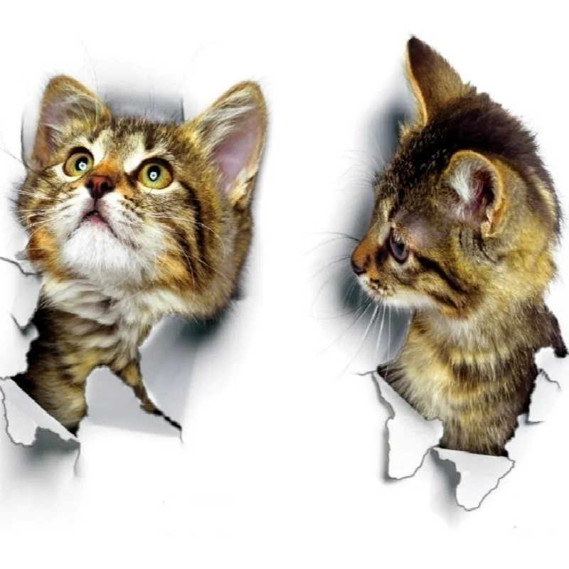 3pcs 3D Cute Cat Self-adhesive - Pvc Panel Background บทวิจารณ์และราคา