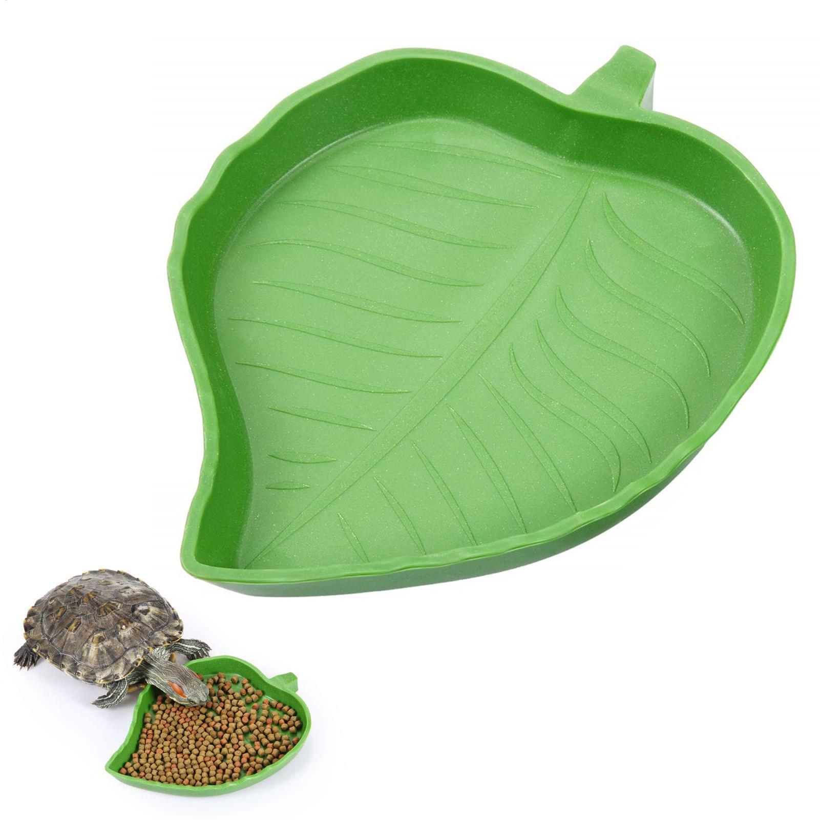 Turtle Feeding Bowl Reptile Fe - Water Dish Reptile บทวิจารณ์และราคา