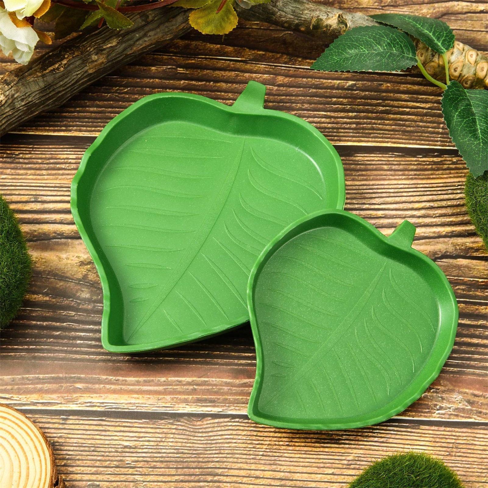 Turtle Feeding Bowl Reptile Fe - Water Dish Reptile บทวิจารณ์และราคา