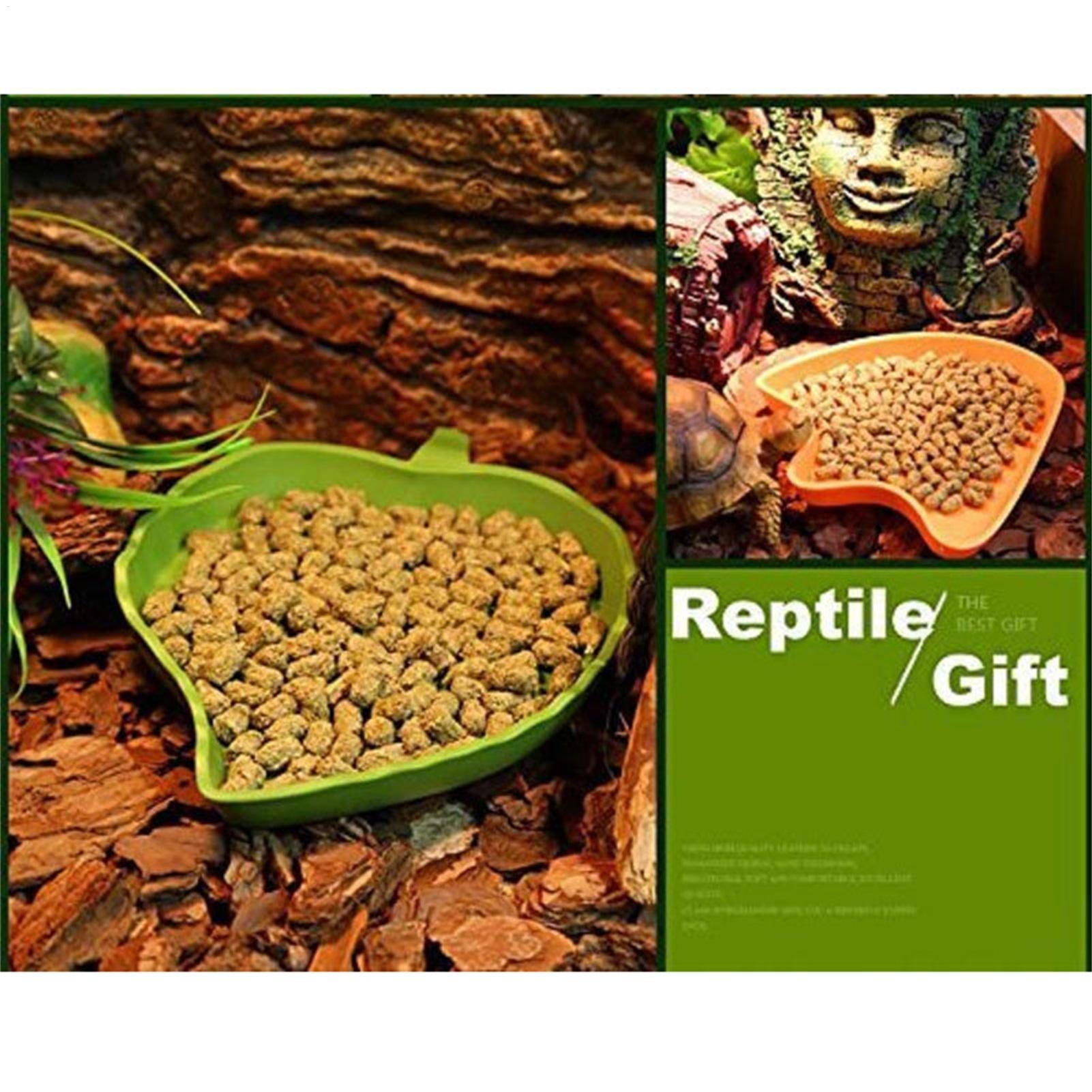 Turtle Feeding Bowl Reptile Fe - Water Dish Reptile บทวิจารณ์และราคา
