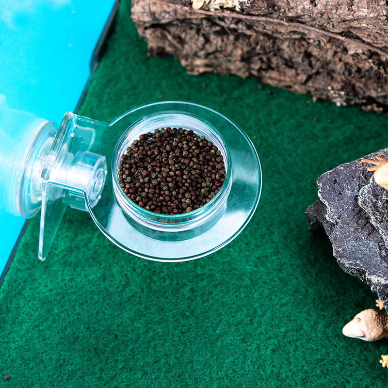 Acrylic Crawling Pet Feeding W - Water Dish Reptile บทวิจารณ์และราคา
