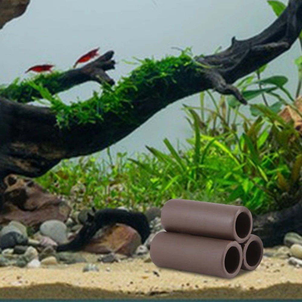 Playing Breeding Spawning Aqua - Hide Cave Ceramic บทวิจารณ์และราคา