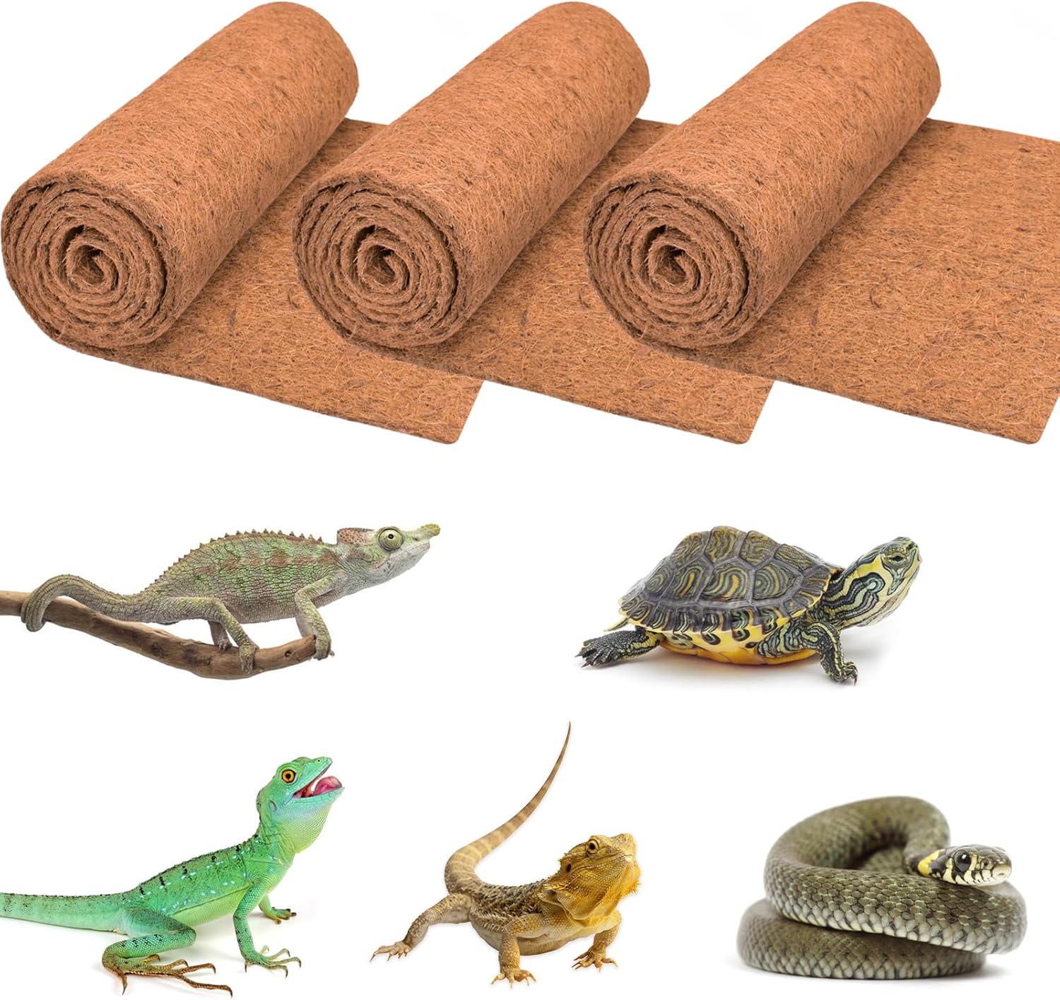 3 Rolls Reptile Carpet, 24x48i - Substrate Coconut Fiber บทวิจารณ์และราคา