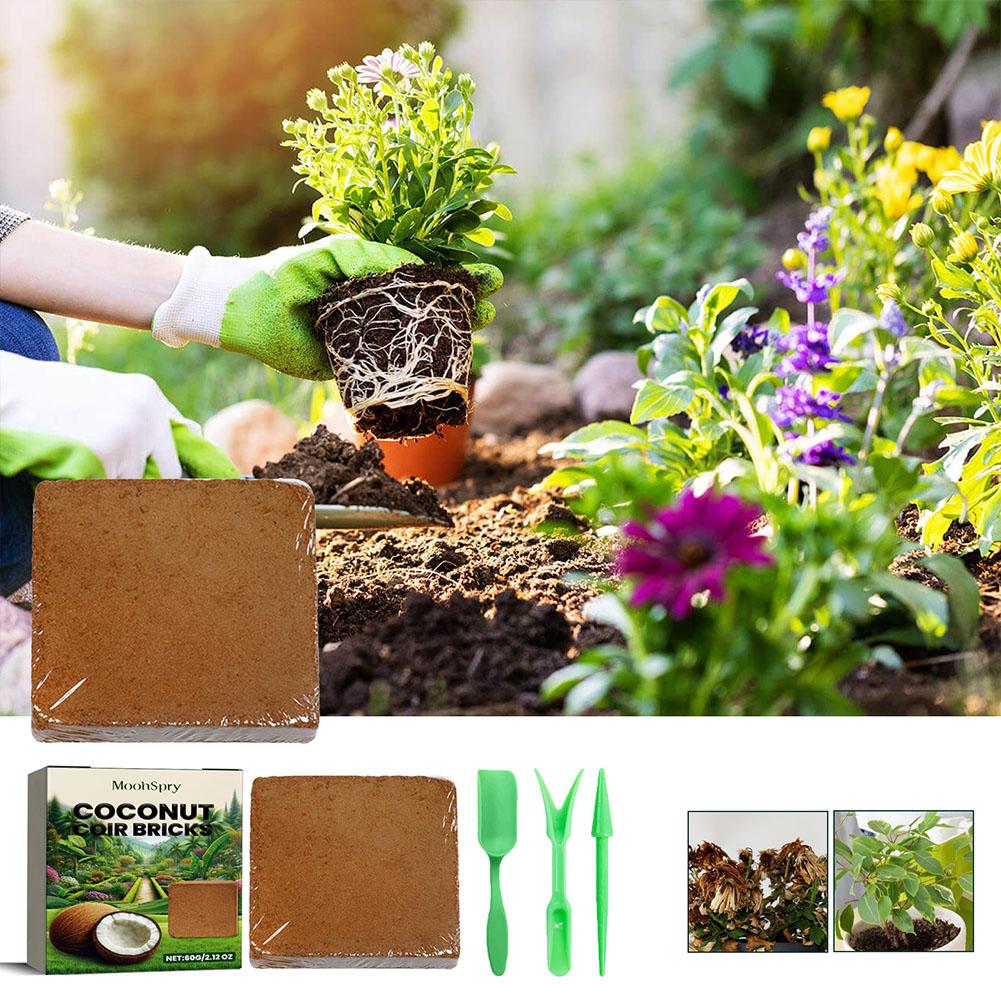 Reptile Coconut Soil Coir Pres - Substrate Coconut Fiber บทวิจารณ์และราคา