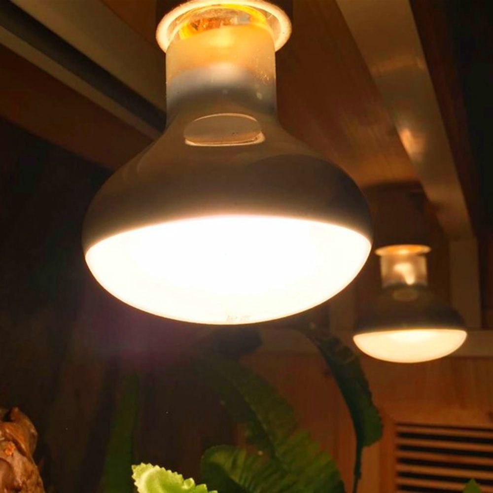 Lizard Heater Temperature Cont - Basking Bulb Halogen บทวิจารณ์และราคา