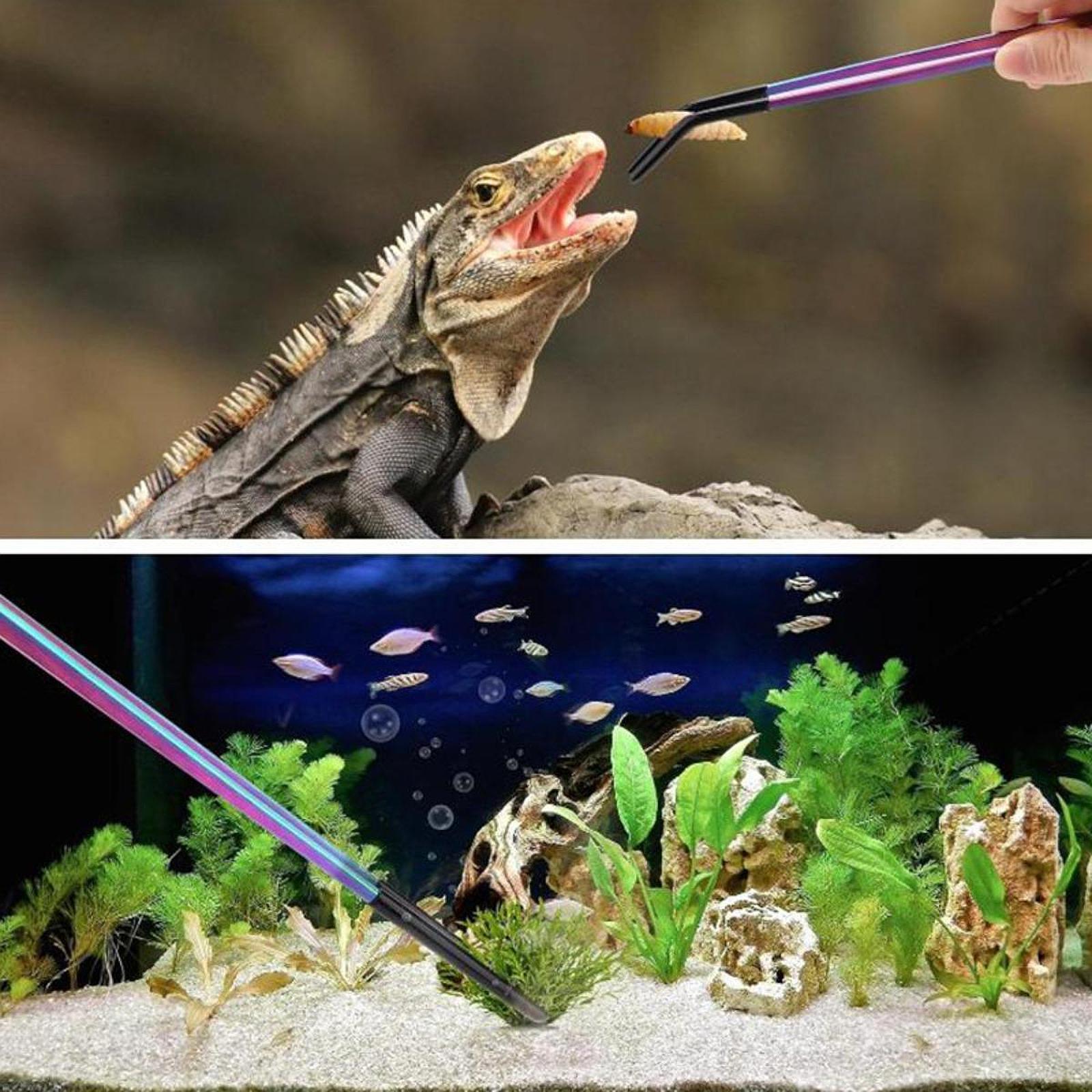 Terrarium Reptile Feeder Tongs - Feeding Tong Stainless บทวิจารณ์และราคา