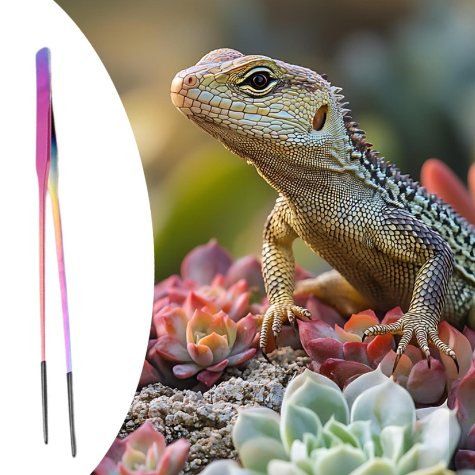 Terrarium Reptile Feeder Tongs - Feeding Tong Stainless บทวิจารณ์และราคา