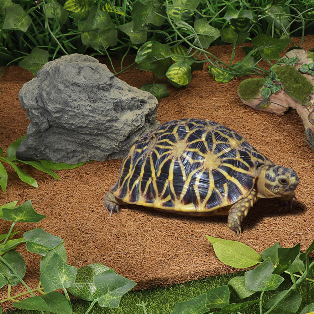 Coconut Fiber Reptile Mat Non- - Substrate Coconut Fiber บทวิจารณ์และราคา