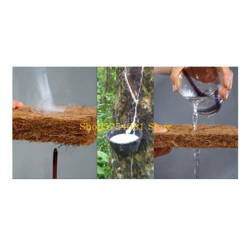 AXYC Reptiles Sleeping Mat Bed - Substrate Coconut Fiber บทวิจารณ์และราคา