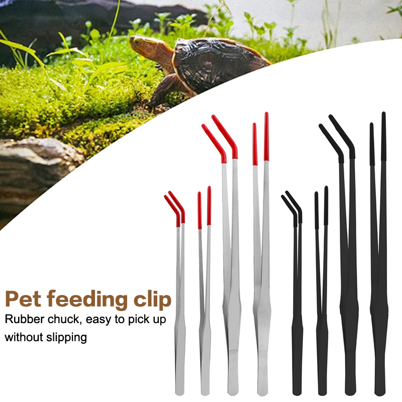 Stainless Steel Fish Tank Main - Feeding Tong Stainless บทวิจารณ์และราคา