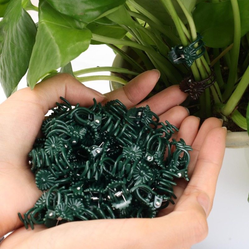 Wholesale Mini Plant Support C - Vine Climbing Plastic บทวิจารณ์และราคา