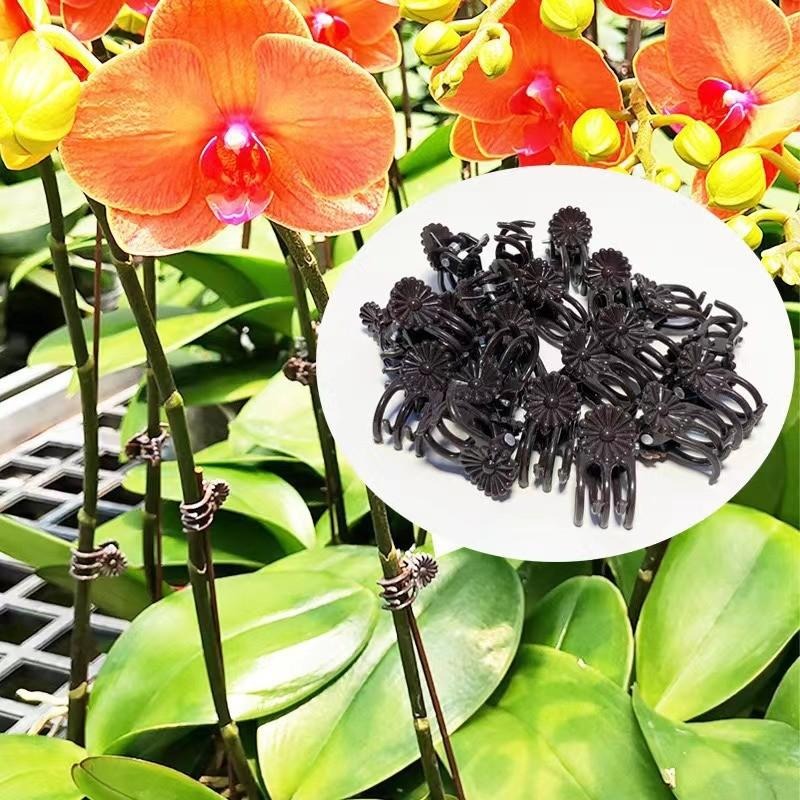 Wholesale Mini Plant Support C - Vine Climbing Plastic บทวิจารณ์และราคา