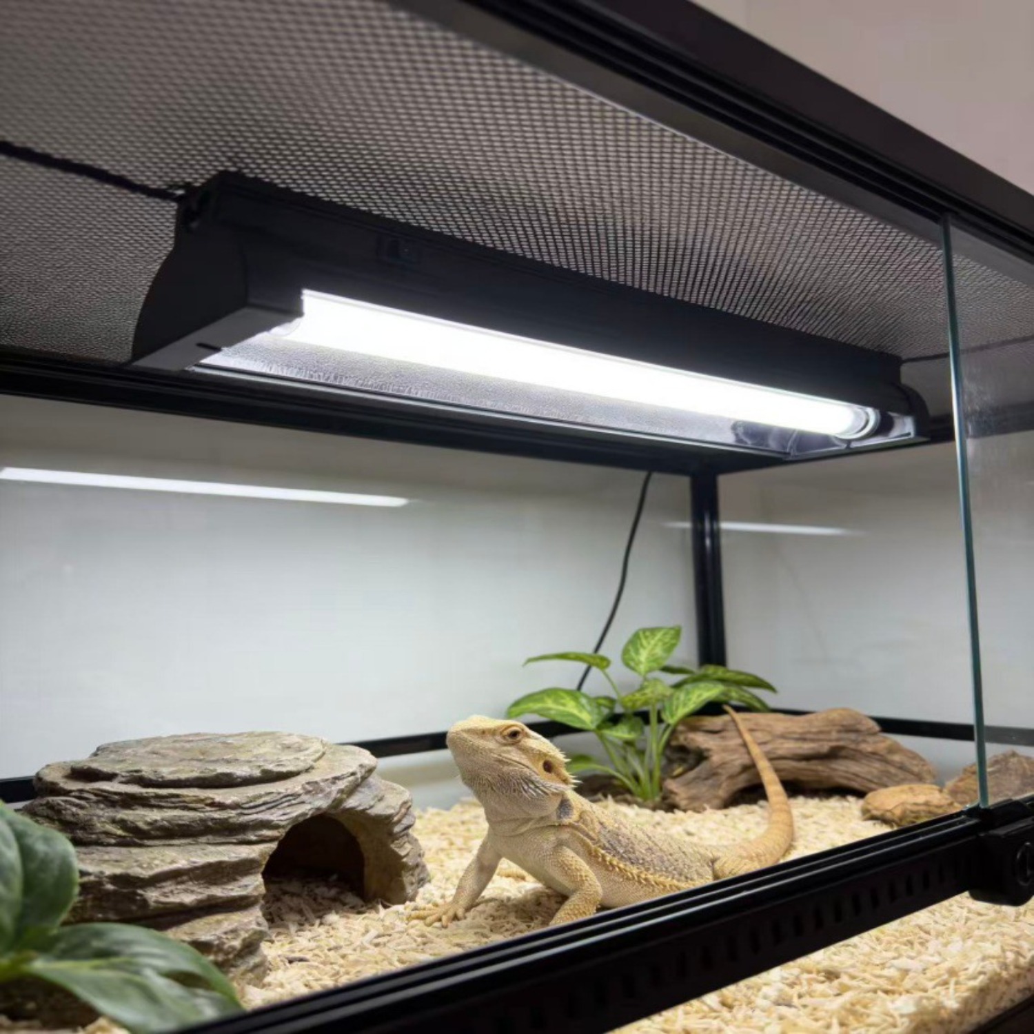 T5 UVB Reptile Light Fixture K - Calcium Powder Reptile บทวิจารณ์และราคา