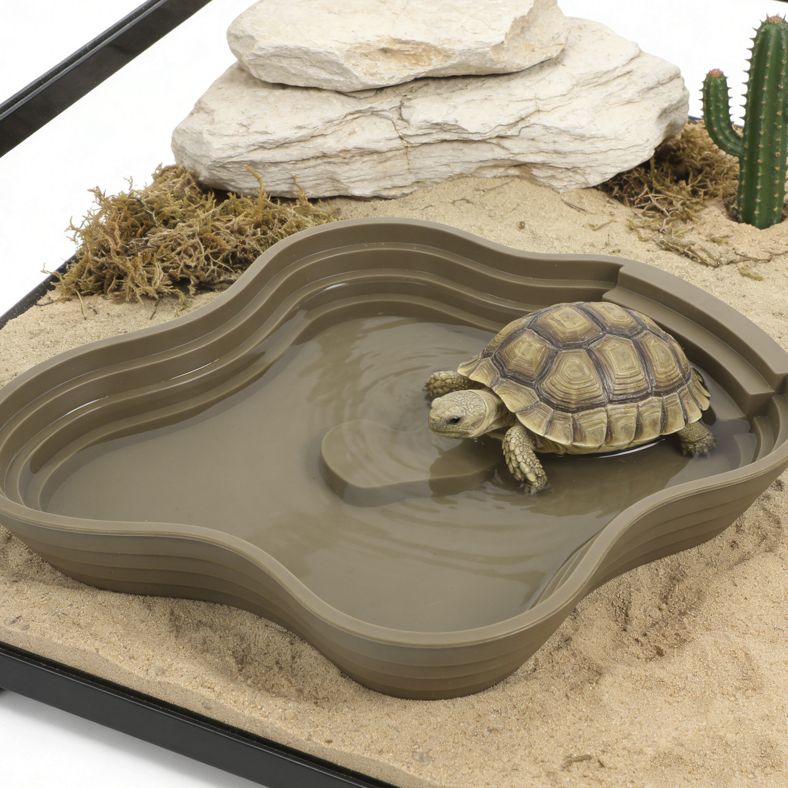 Large Turtle Reptile Bathing P - Water Dish Reptile บทวิจารณ์และราคา