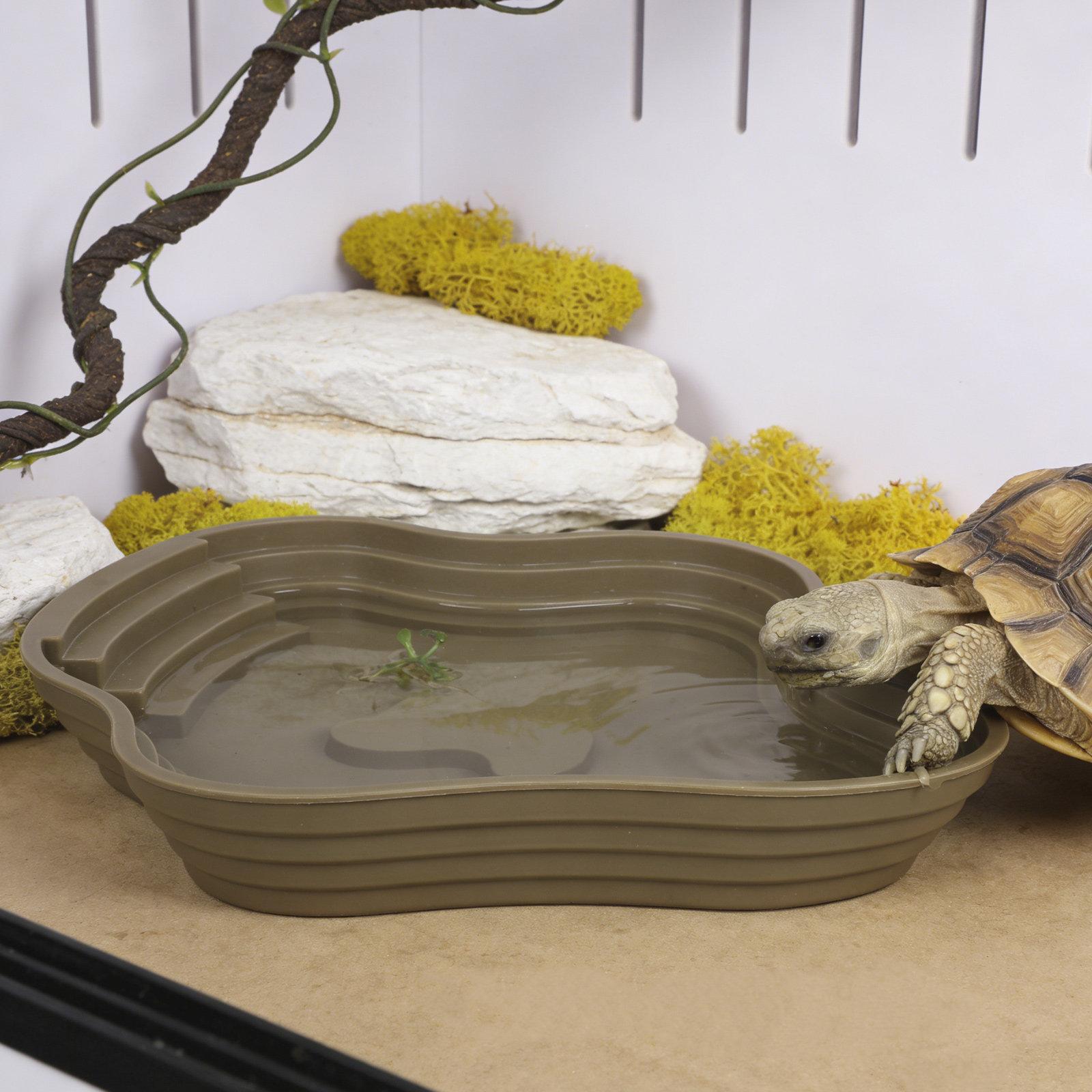 Large Turtle Reptile Bathing P - Water Dish Reptile บทวิจารณ์และราคา
