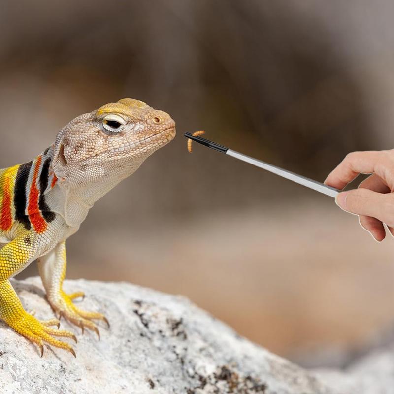 Extra Long Reptile Feeding Ton - Feeding Tong Stainless บทวิจารณ์และราคา