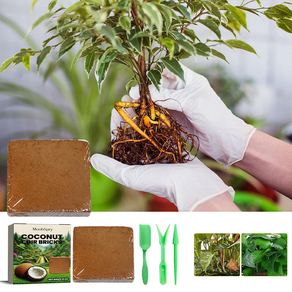 Coconut Coir Fiber Brick - Org - Substrate Coconut Fiber บทวิจารณ์และราคา