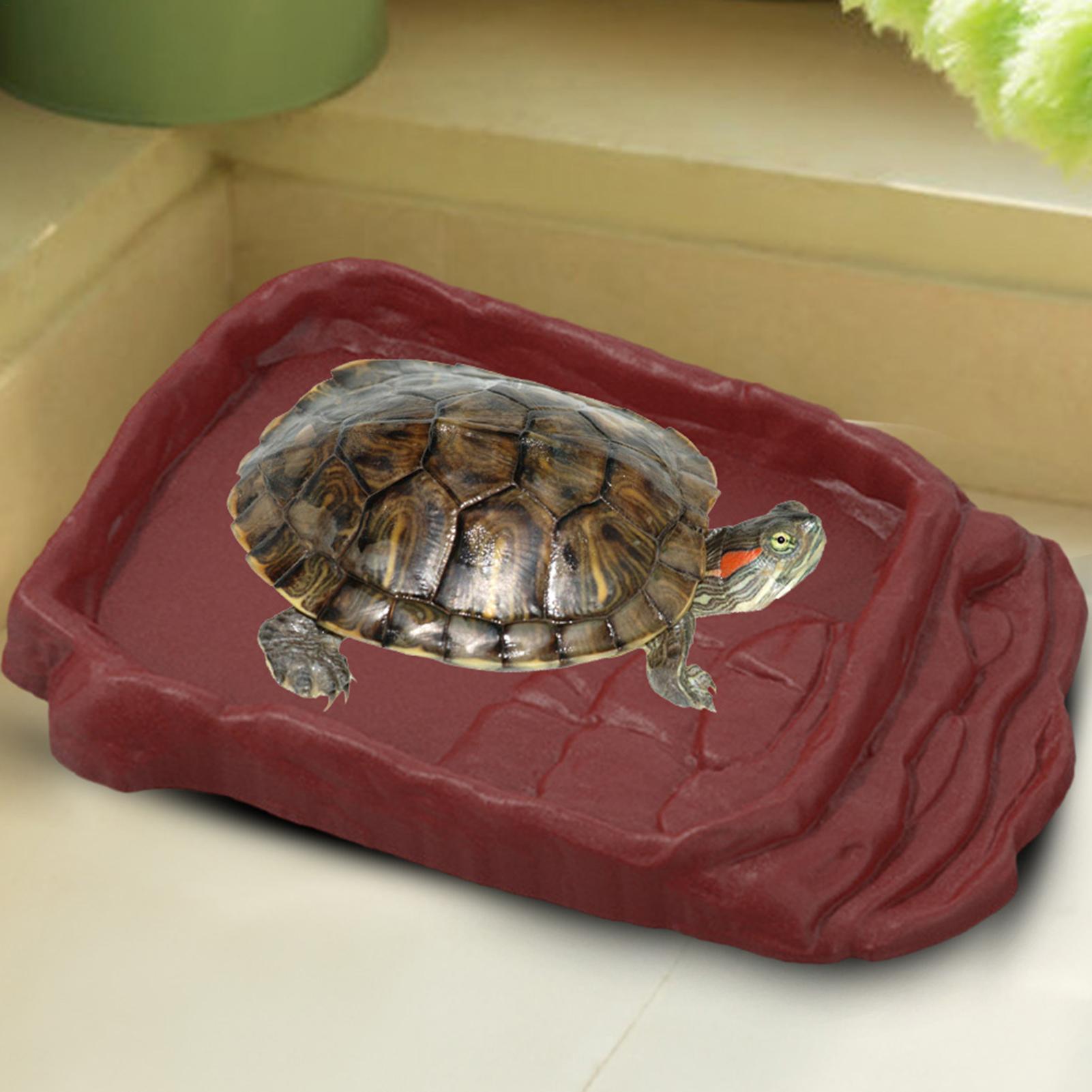 Turtle Water Dish With Anti-Sl - Water Dish Reptile บทวิจารณ์และราคา