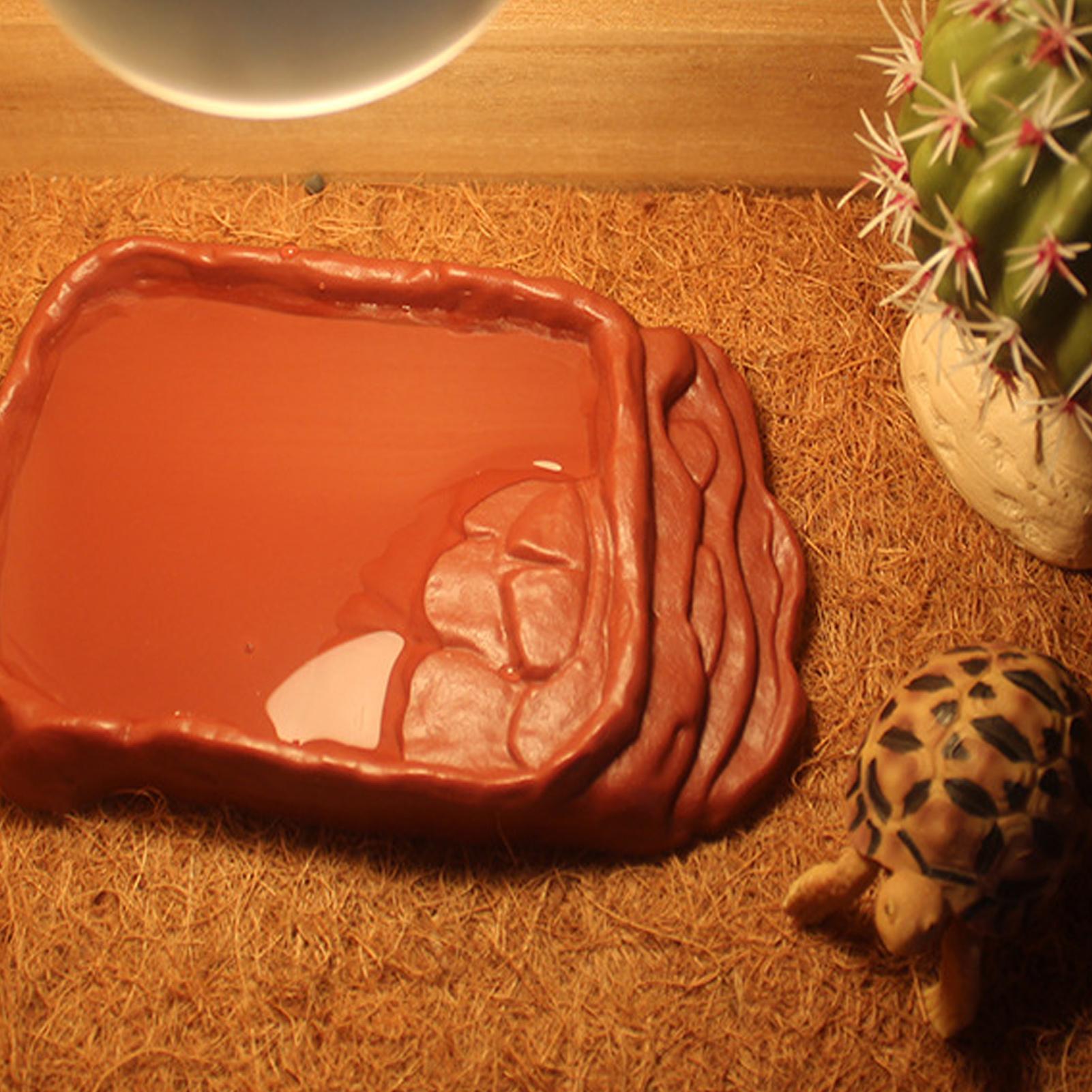 Turtle Water Dish With Anti-Sl - Water Dish Reptile บทวิจารณ์และราคา