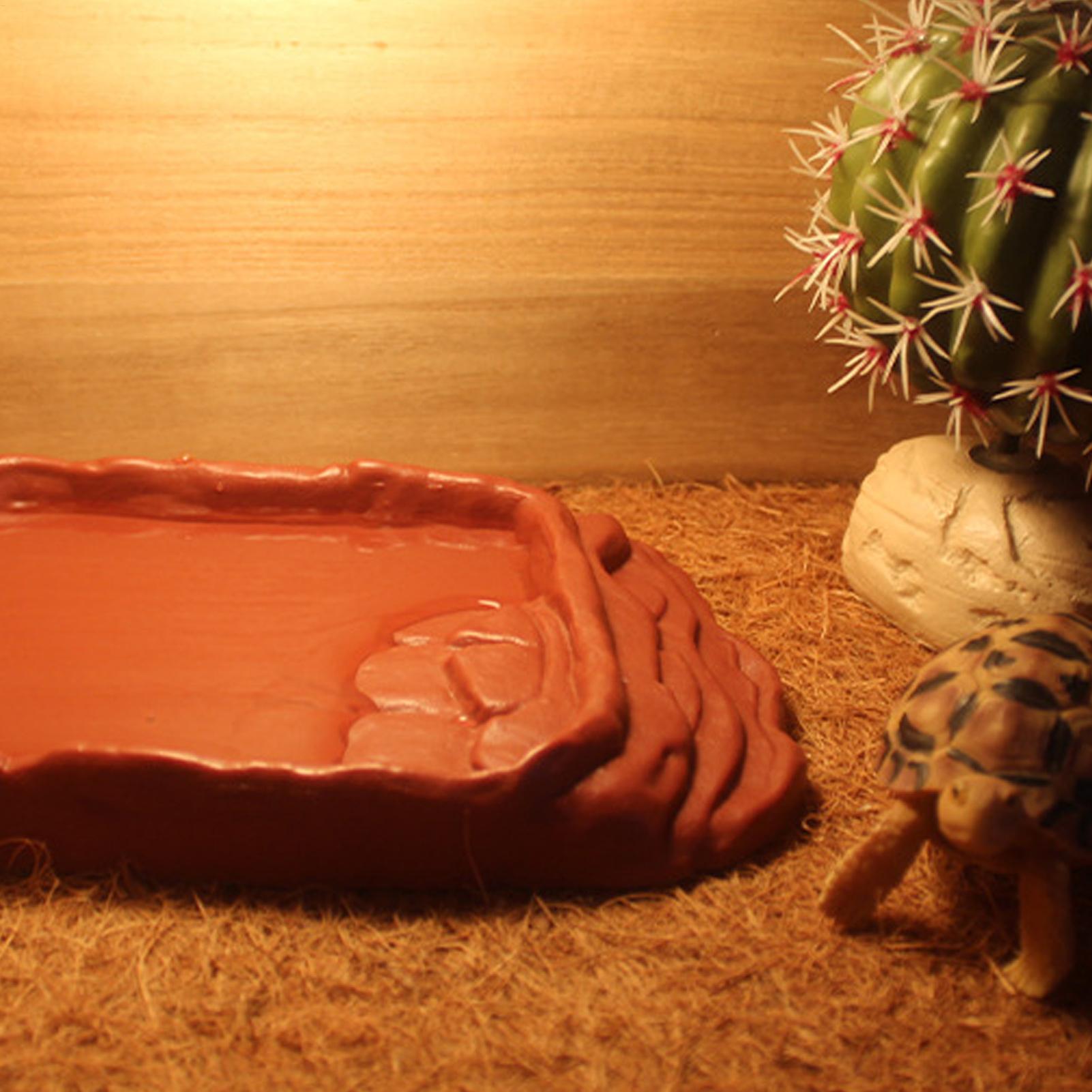 Turtle Water Dish With Anti-Sl - Water Dish Reptile บทวิจารณ์และราคา