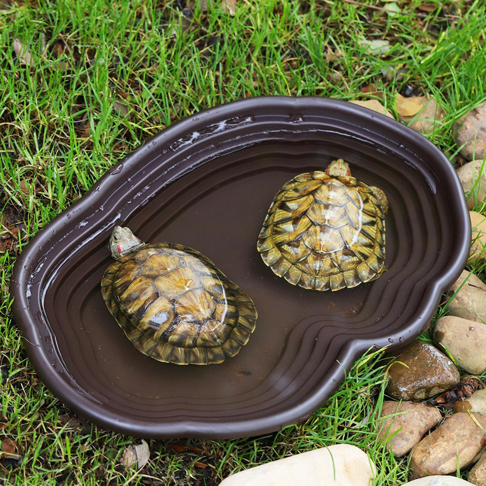 Reptile Bathing Dish Tortoise  - Water Dish Reptile บทวิจารณ์และราคา