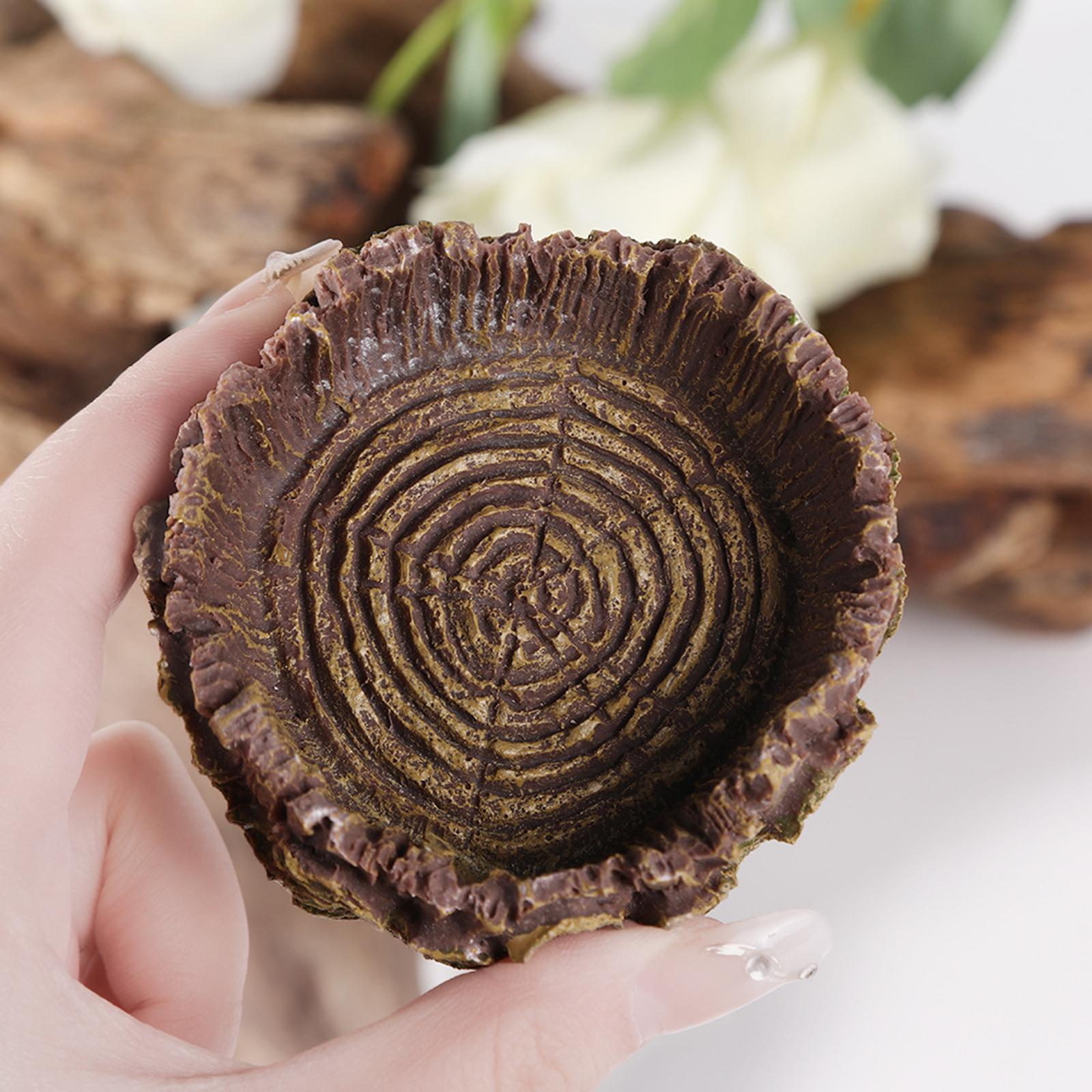Reptile Bathing Dish Tortoise  - Water Dish Reptile บทวิจารณ์และราคา