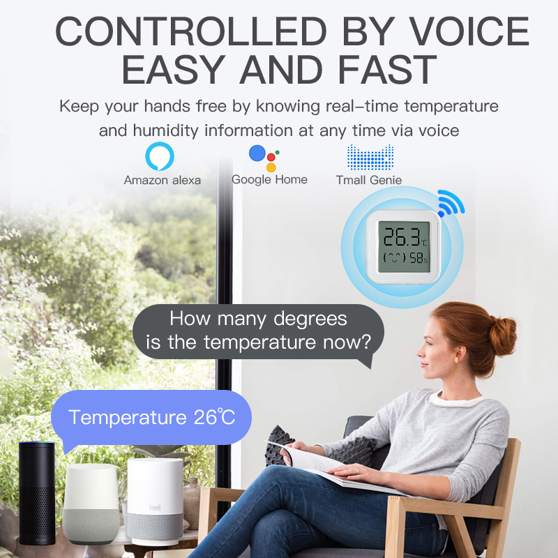 Bluetooth Temperature Humidity - Digital Hygrometer Probe บทวิจารณ์และราคา