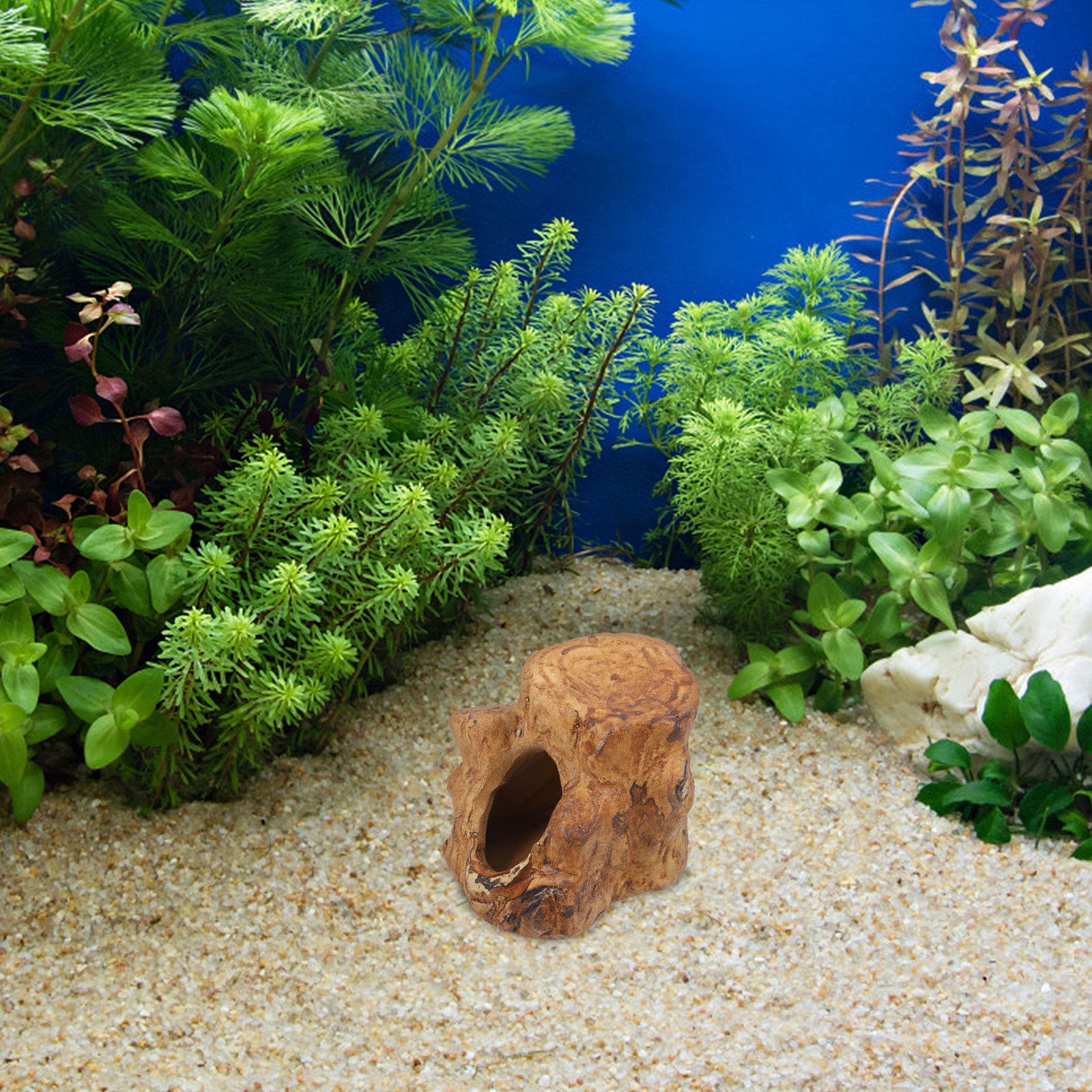 Pleco Caves for Aquarium Fish  - Hide Cave Ceramic บทวิจารณ์และราคา