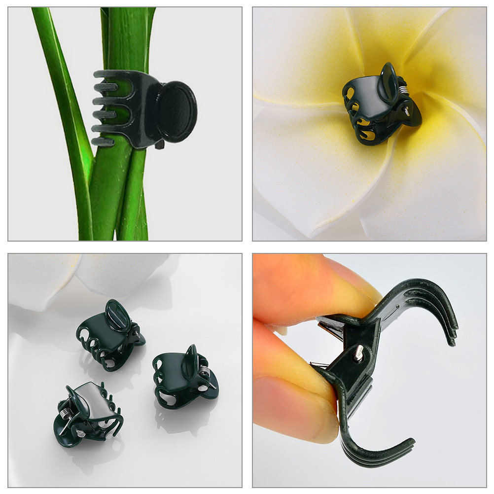 60Pcs Plant Support Clamps Pla - Vine Climbing Plastic บทวิจารณ์และราคา