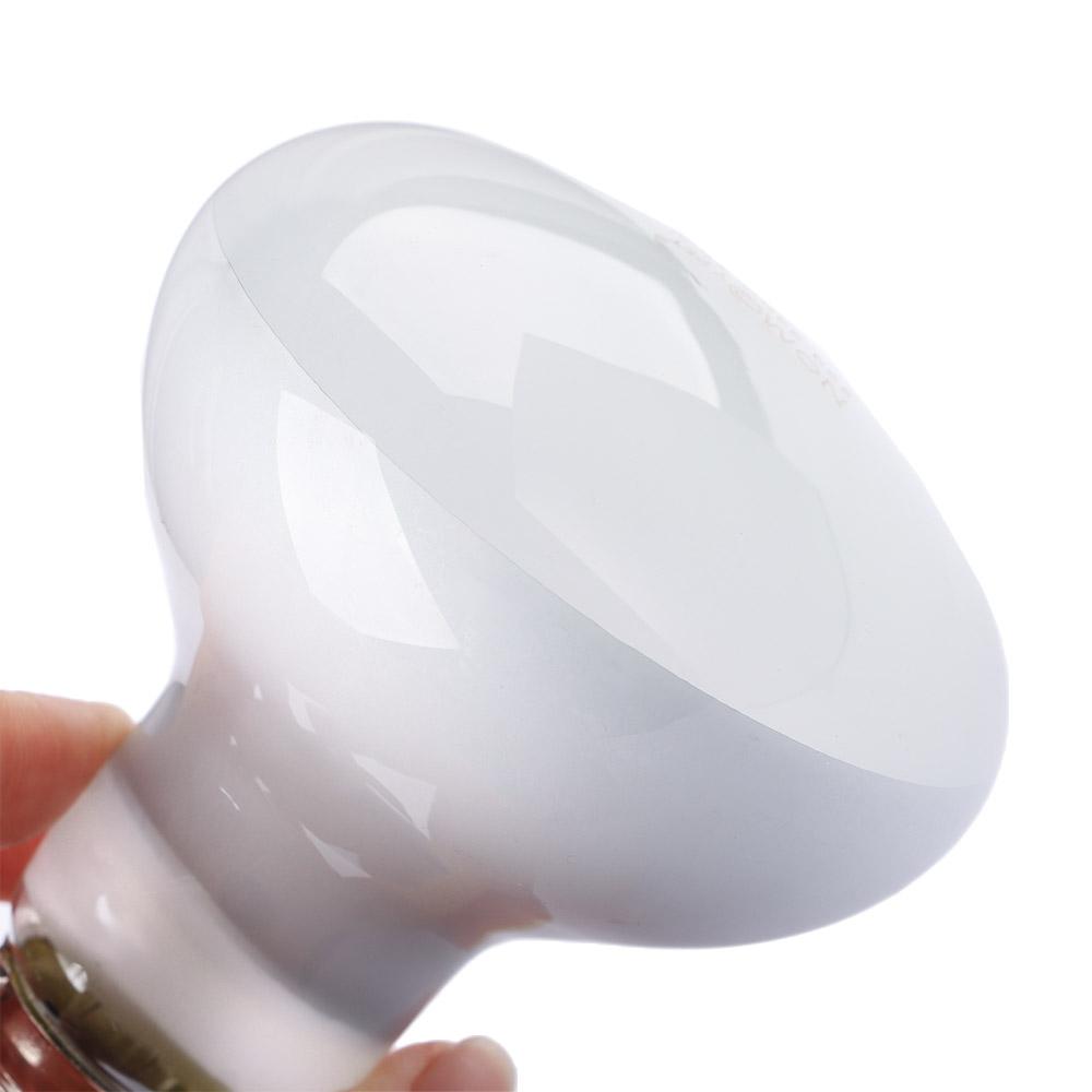 Amphibians Heater Heat Lamp UV - Basking Bulb Halogen บทวิจารณ์และราคา