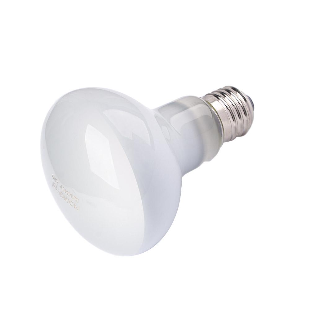 Amphibians Heater Heat Lamp UV - Basking Bulb Halogen บทวิจารณ์และราคา