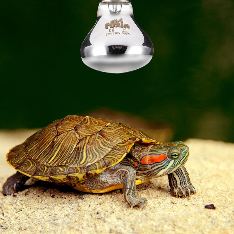 Pet Heating Lamp E27 Day Night - Ceramic Heat Emitter บทวิจารณ์และราคา