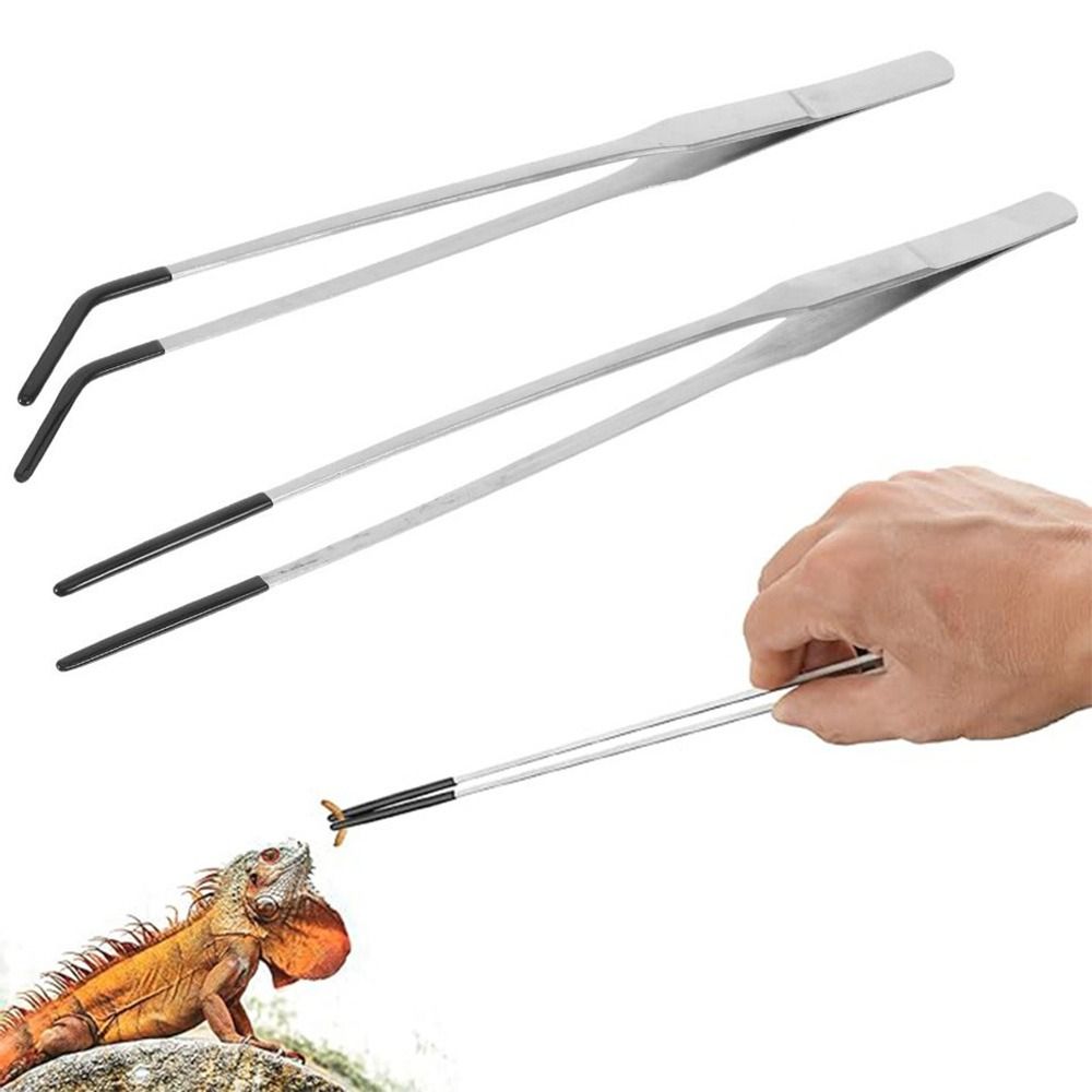 2Pcs Stainless Steel Aquarium  - Feeding Tong Stainless บทวิจารณ์และราคา