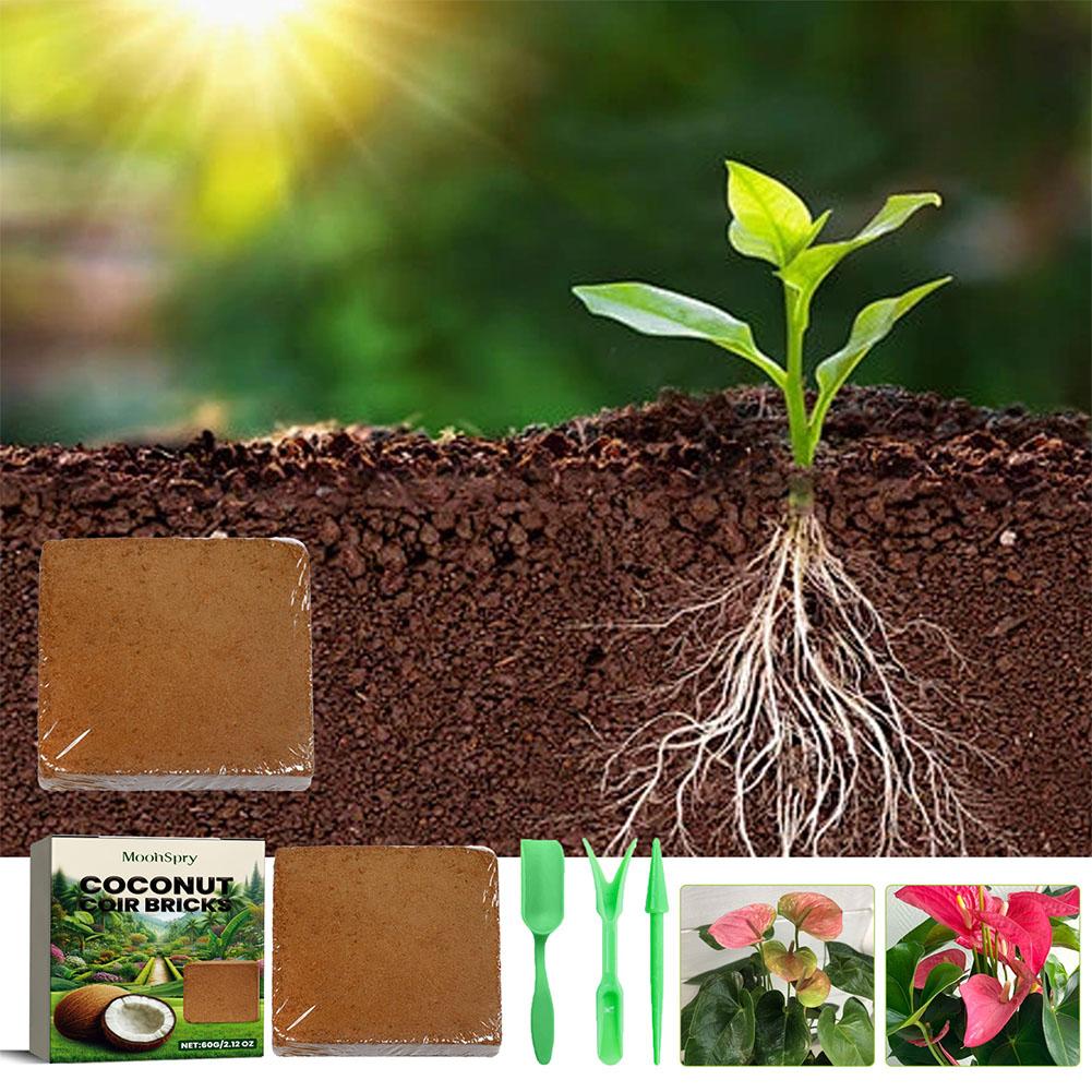 Reptile Coconut Soil Coir Pres - Substrate Coconut Fiber บทวิจารณ์และราคา