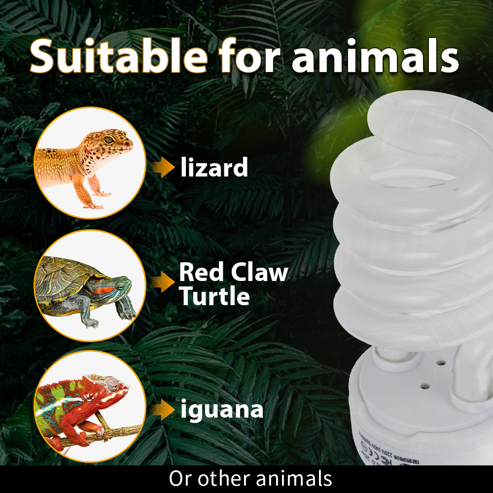 26W Pet Box Lamp Calcium Suppl - Calcium Powder Reptile บทวิจารณ์และราคา