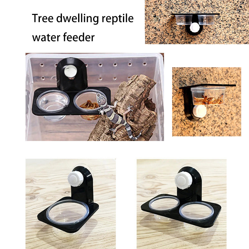Reptile Tank Accessories Insec - Water Dish Reptile บทวิจารณ์และราคา