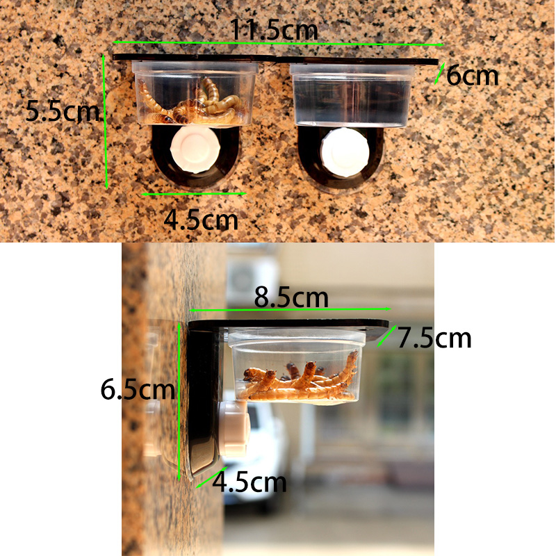 Reptile Tank Accessories Insec - Water Dish Reptile บทวิจารณ์และราคา