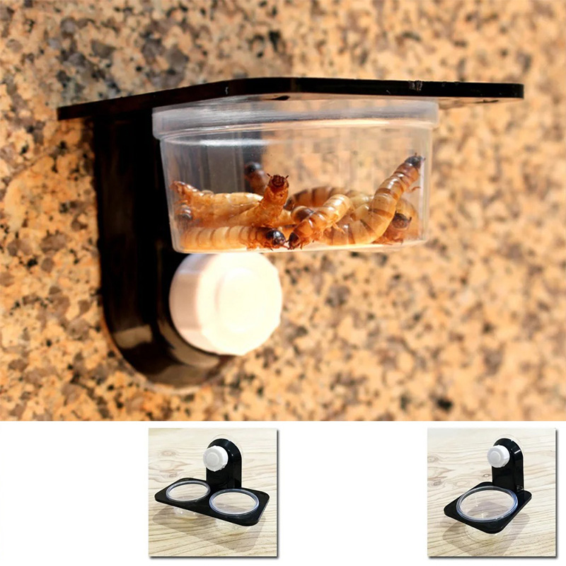 Reptile Tank Accessories Insec - Water Dish Reptile บทวิจารณ์และราคา