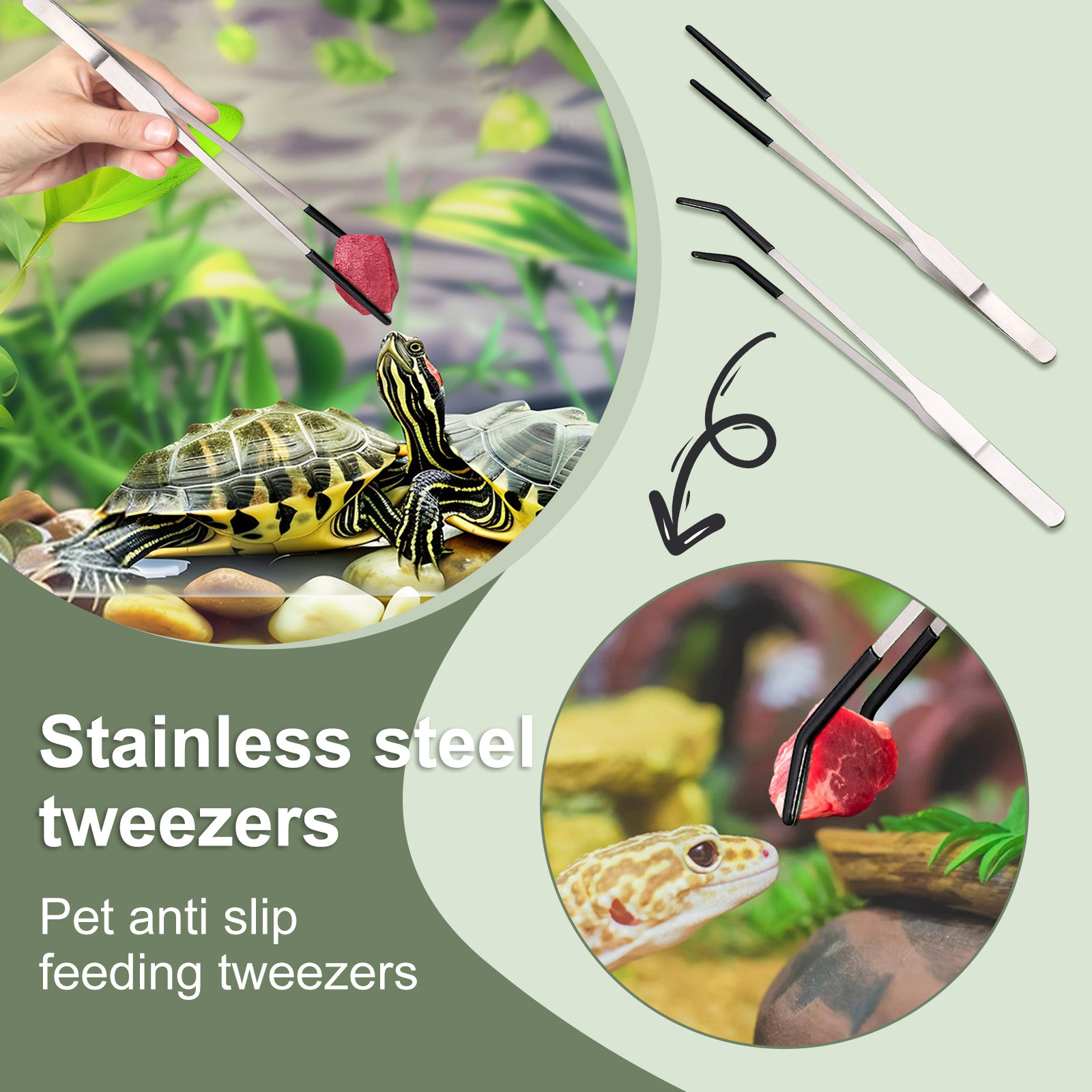Stainless Steel Reptile Feedin - Feeding Tong Stainless บทวิจารณ์และราคา