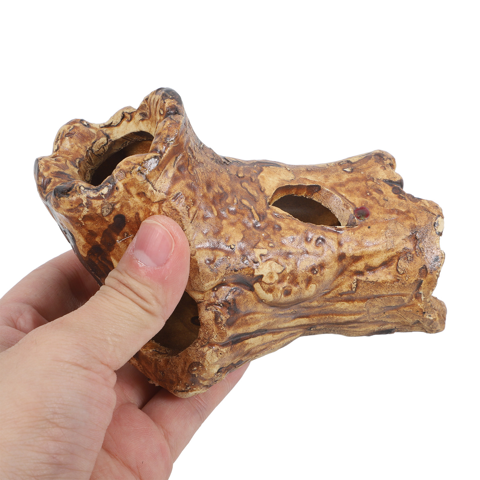 Premium Ceramic Aquarium Hides - Hide Cave Ceramic บทวิจารณ์และราคา