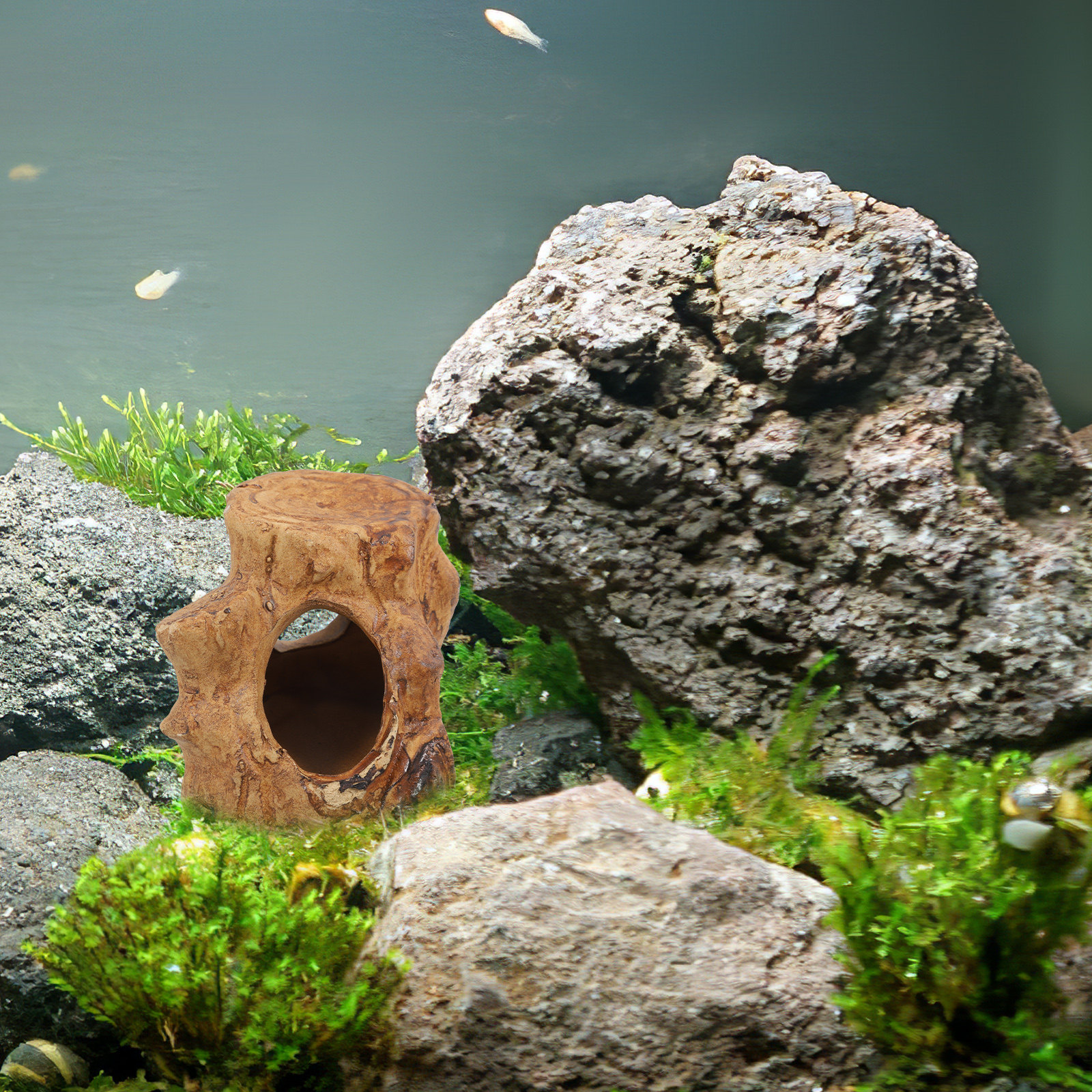 Pleco Caves Fish Tank Decorati - Hide Cave Ceramic บทวิจารณ์และราคา