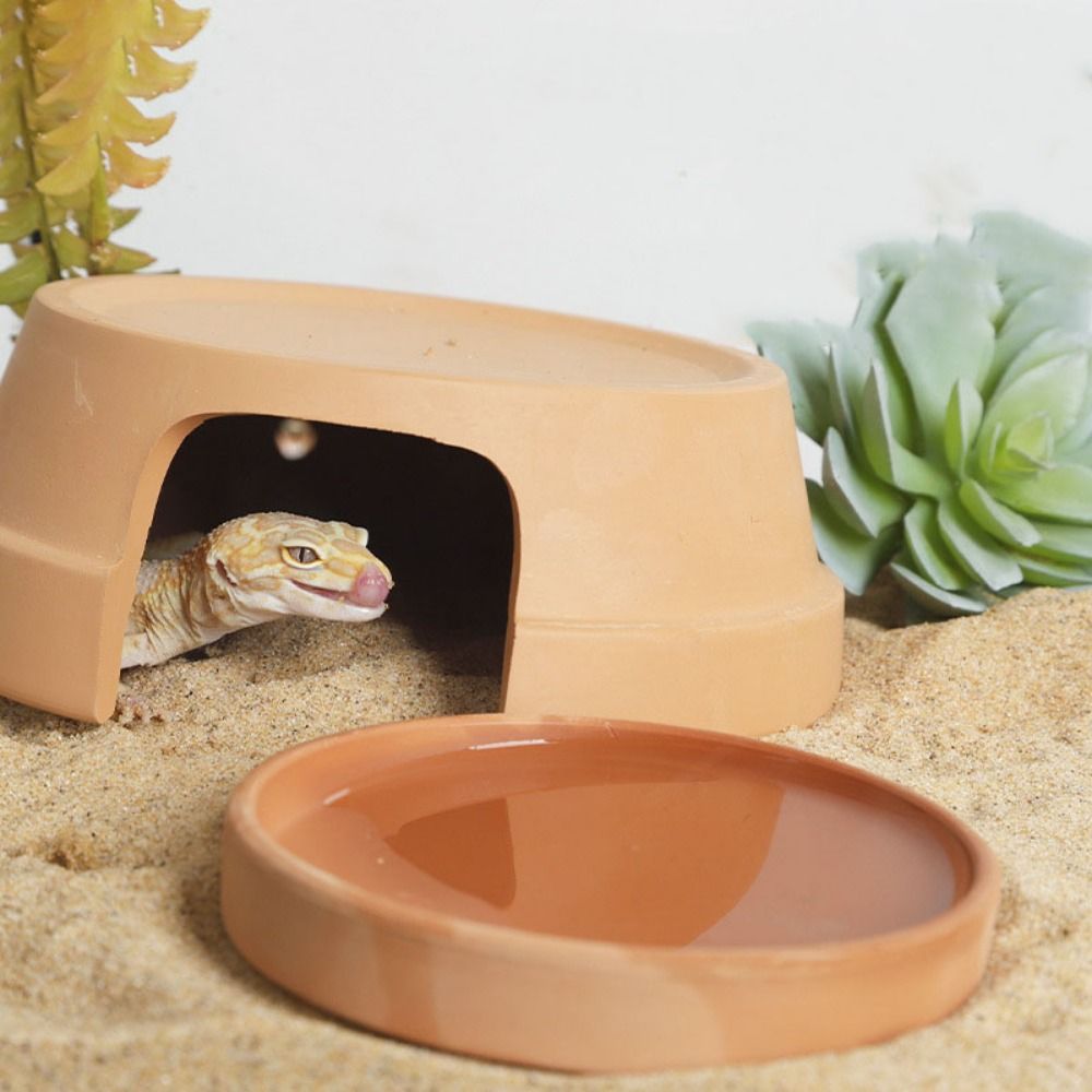 Multifunctional Ceramics Repti - Hide Cave Ceramic บทวิจารณ์และราคา