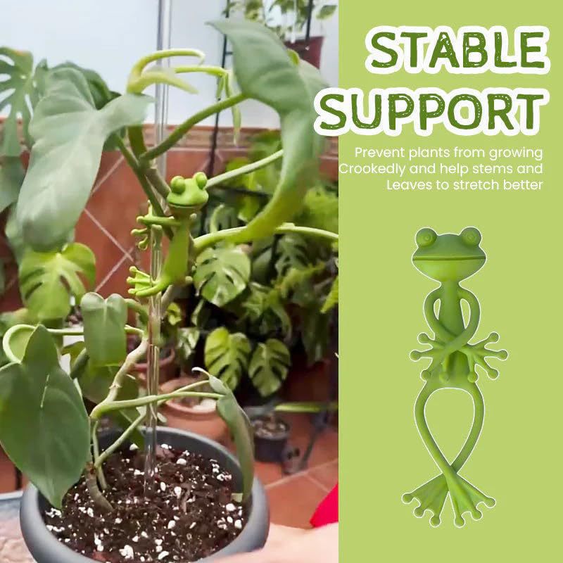 Frog Plant Stand Frog Plant St - Vine Climbing Plastic บทวิจารณ์และราคา