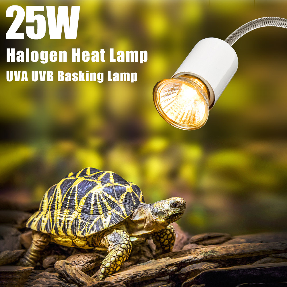 25W Halogen Heat Lamp UVA UVB  - Basking Bulb Halogen บทวิจารณ์และราคา
