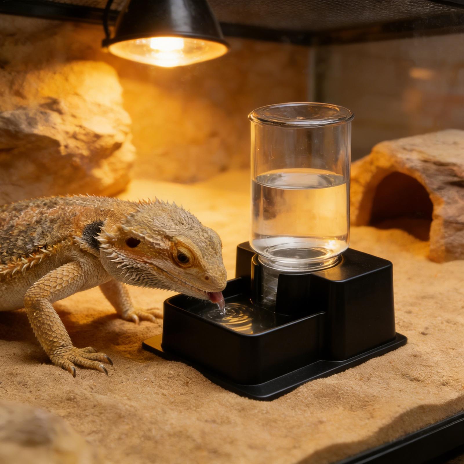 Bearded Dragon Water Fountain  - Water Dish Reptile บทวิจารณ์และราคา