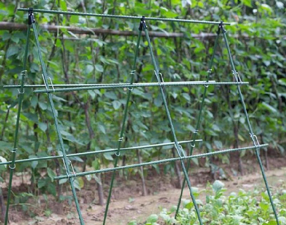 Diameter 8/11/16mm Plant Suppo - Vine Climbing Plastic บทวิจารณ์และราคา