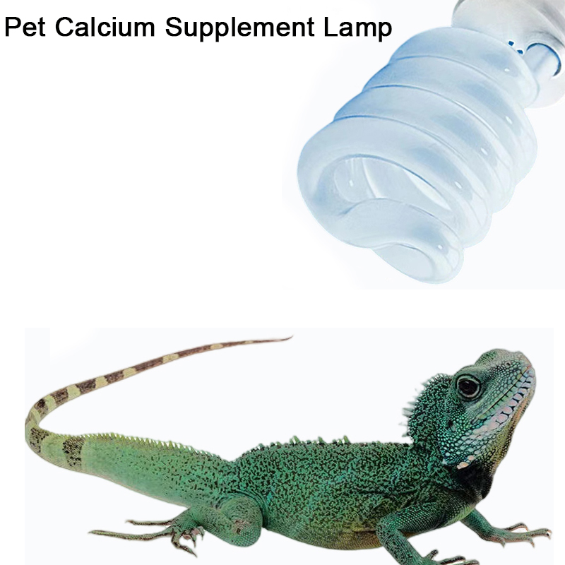 E27 13W/26W Reptile Uvb Lamp   - Calcium Powder Reptile บทวิจารณ์และราคา