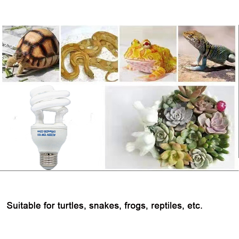E27 13W/26W Reptile Uvb Lamp   - Calcium Powder Reptile บทวิจารณ์และราคา