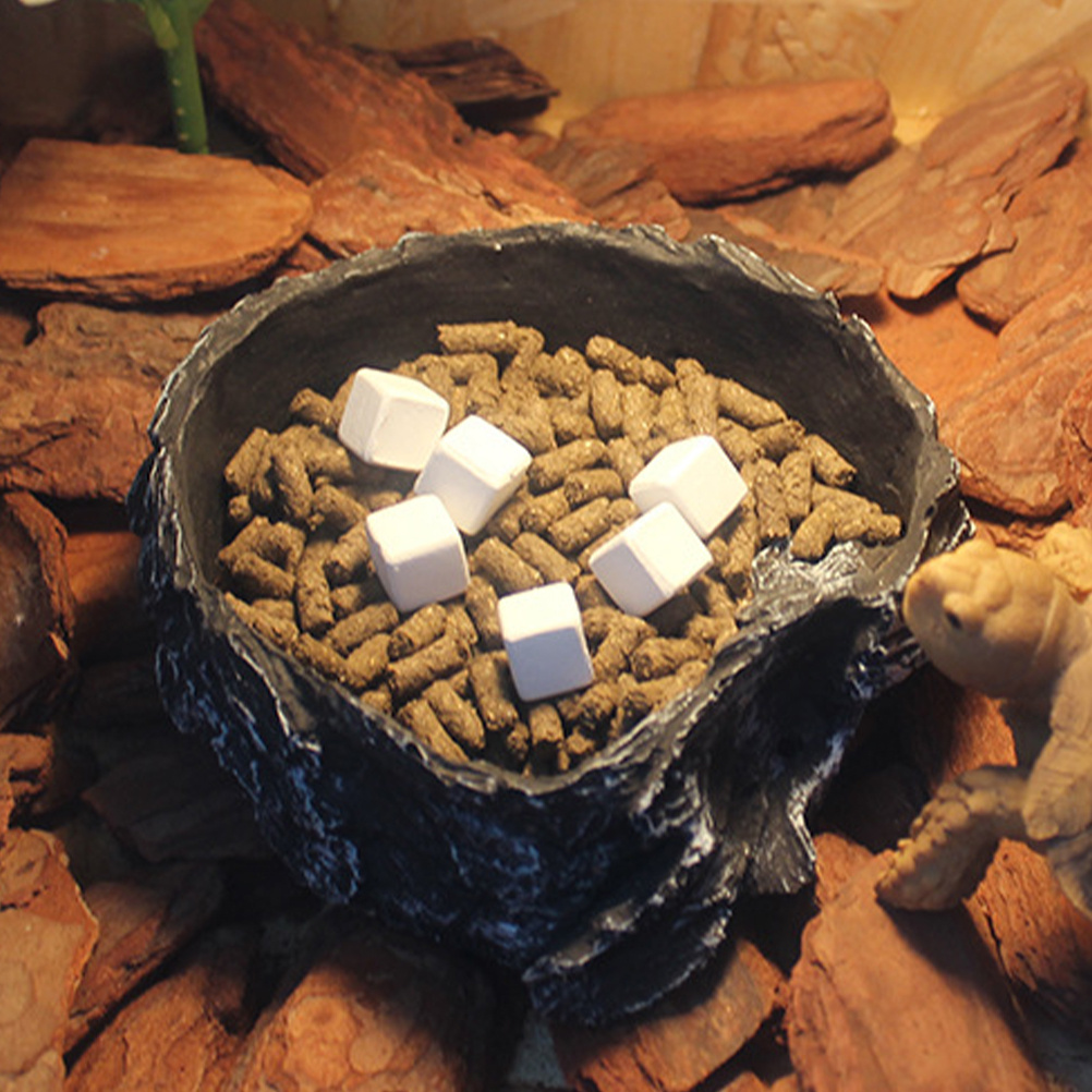 6Pcs Tortoise Tank Calcium Cub - Calcium Powder Reptile บทวิจารณ์และราคา