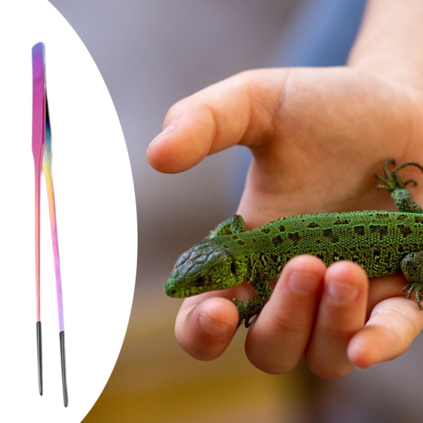 Reptile Feeder Tongs Soft Sili - Feeding Tong Stainless บทวิจารณ์และราคา